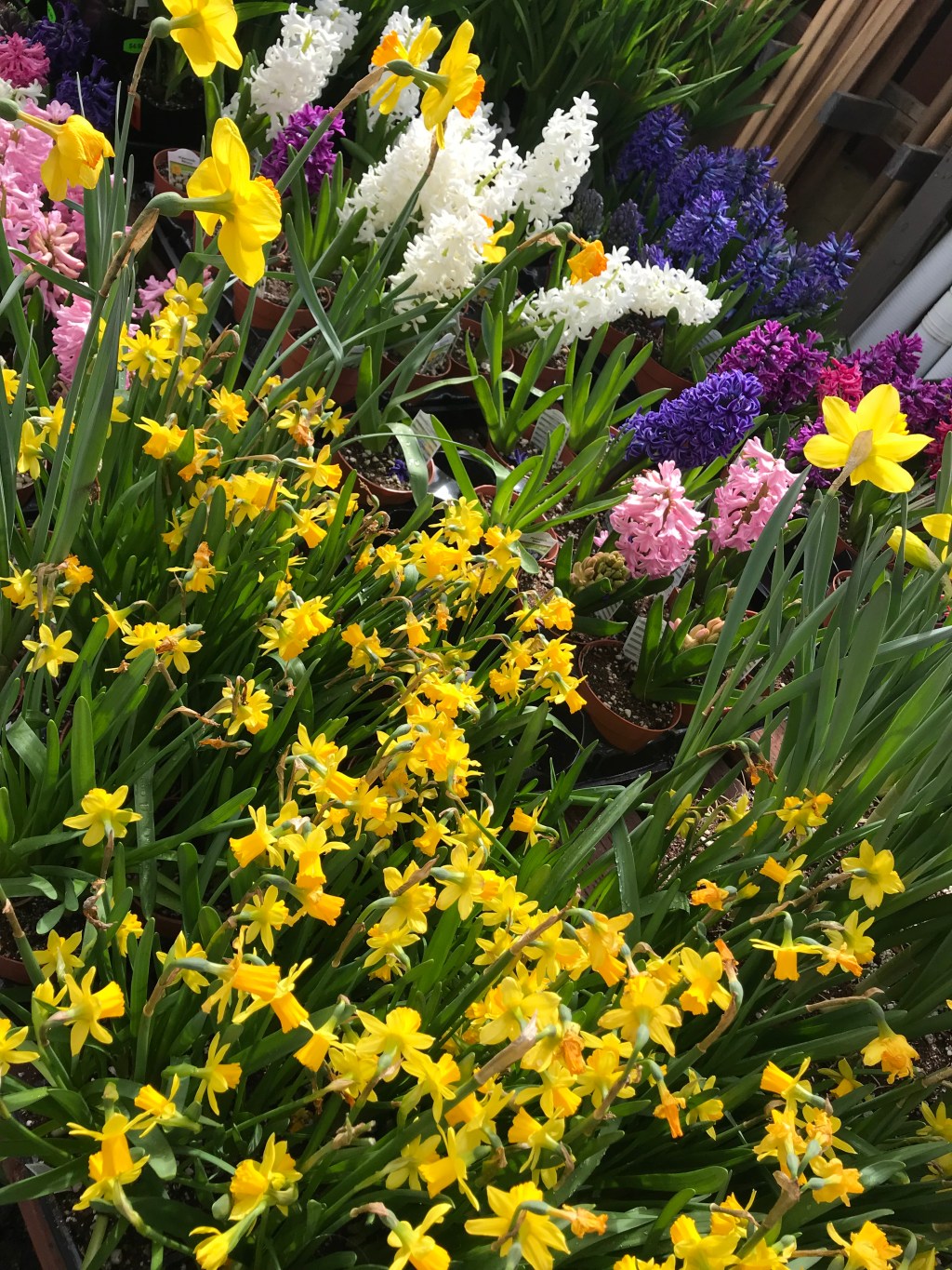 Your work is not&nbsp;you