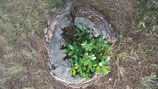 Lil things become BIG&nbsp;things