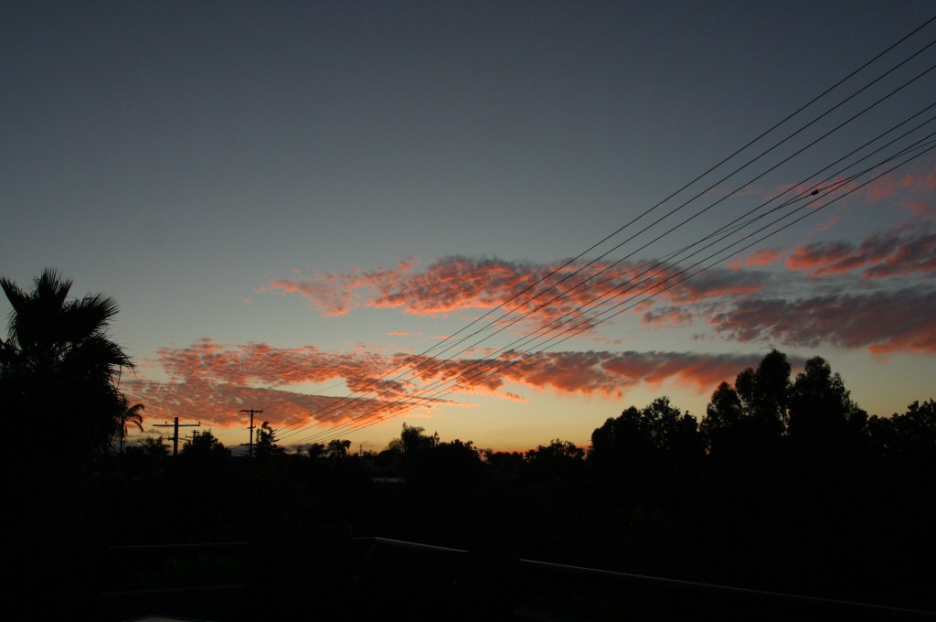 Love is My&nbsp;Journey